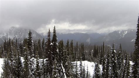 longmire webcam|Webcams in Mount Rainier National Park